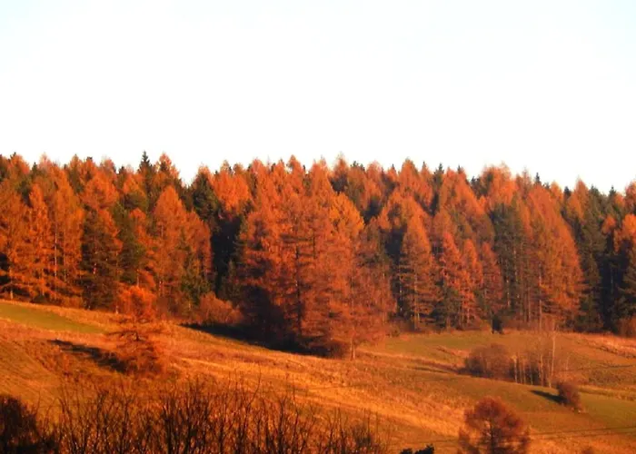 Üdülőközpont Caloroczne W Gorach Aleksander *